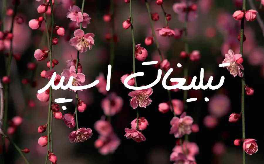 کانال روبیکای داستان های آموزنده