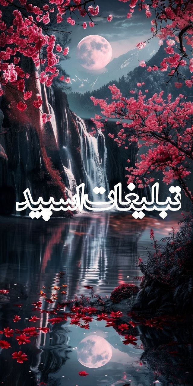 چت کرده شب نشینی (1)