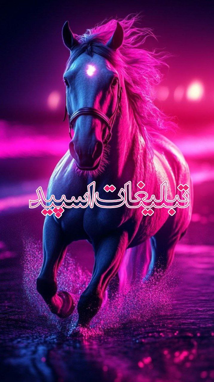 دوستان بامعرفت (11)