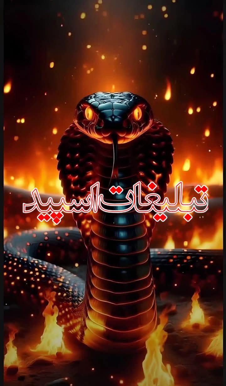 🦋 𝐋𝐈𝐅𝐄𝐄 🦋 (1)