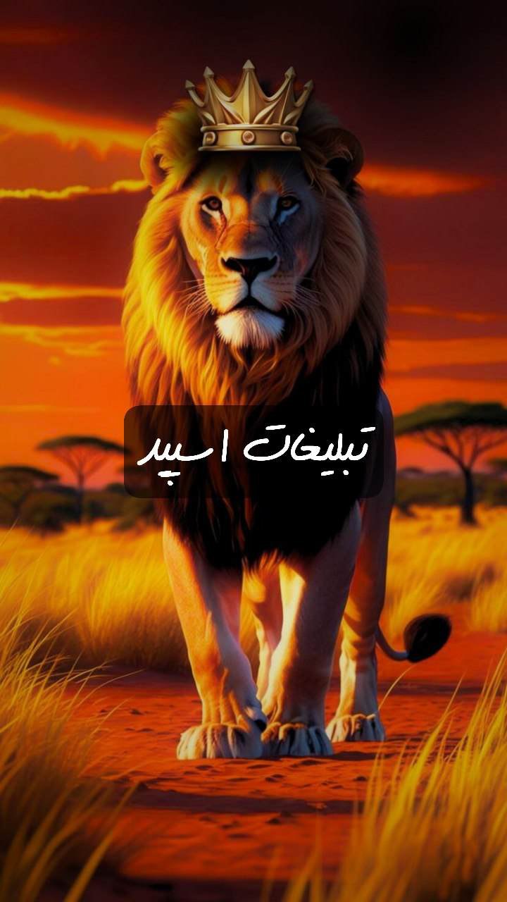 گپ تلگرام شبهای تهران