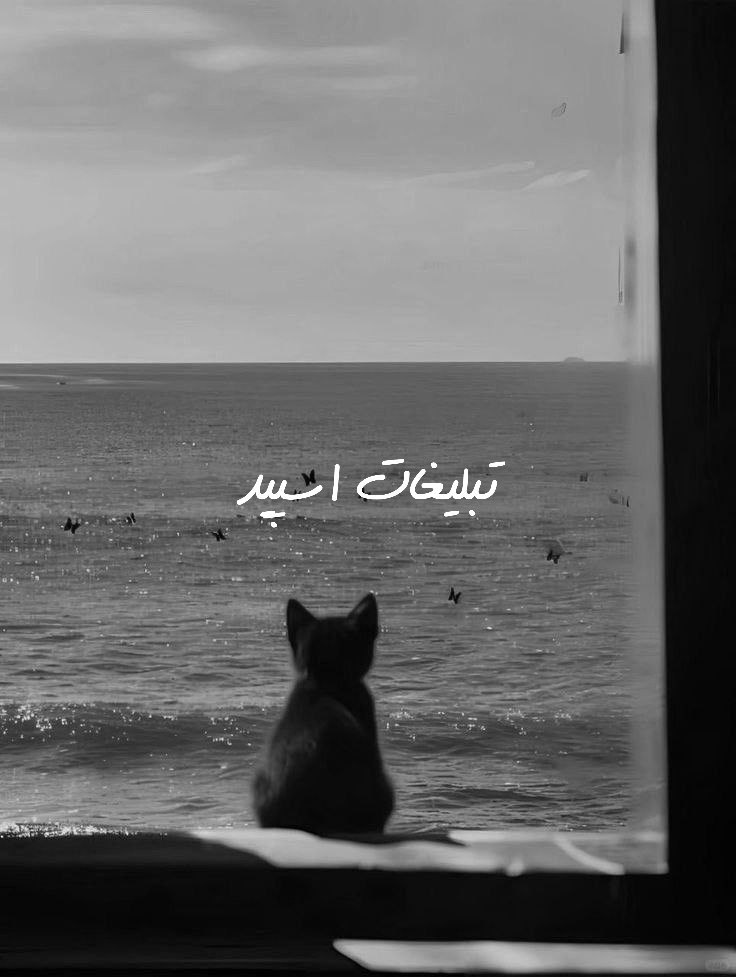 گپ تلگرام مورفین