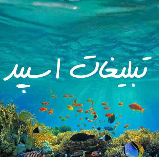 گپ تلگرام دوستان کرمانشاه