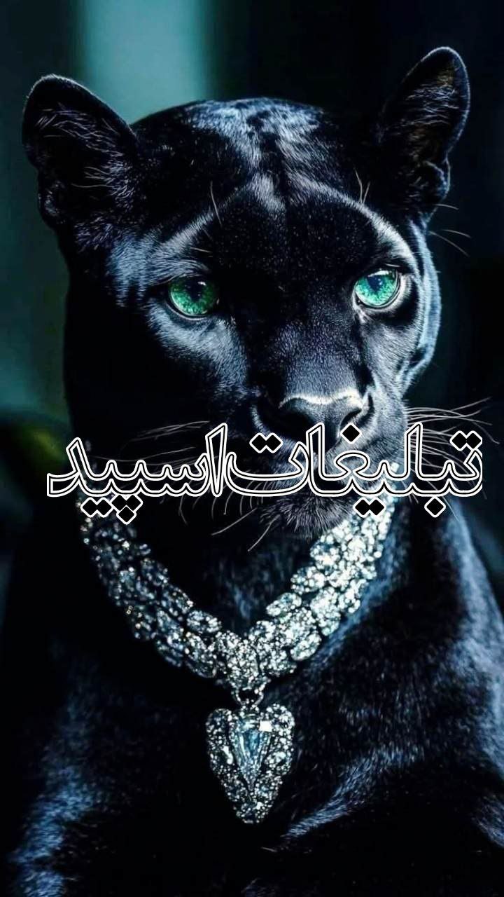 𝘿Λ𝙍𝙆 𝙈Ø𝘿𝙀