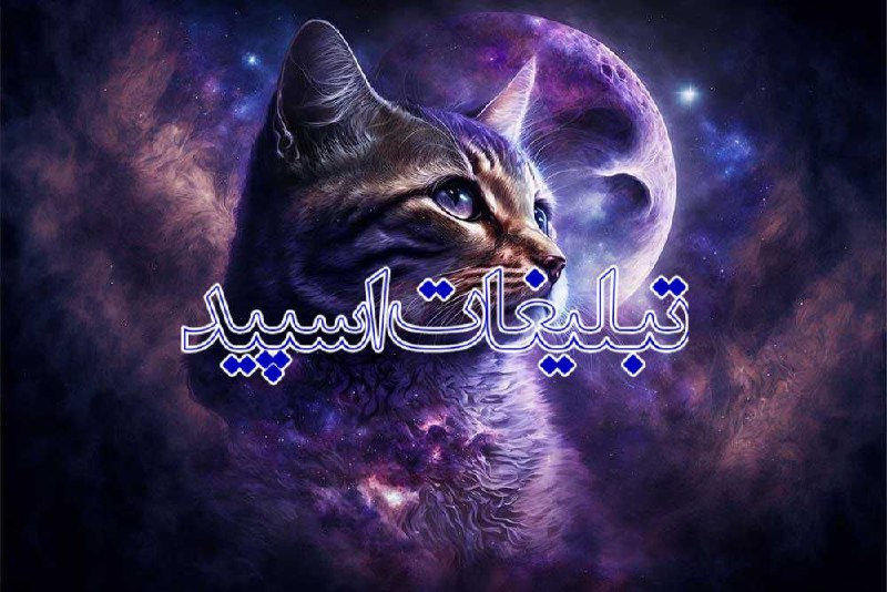 وایلد ولف (95)