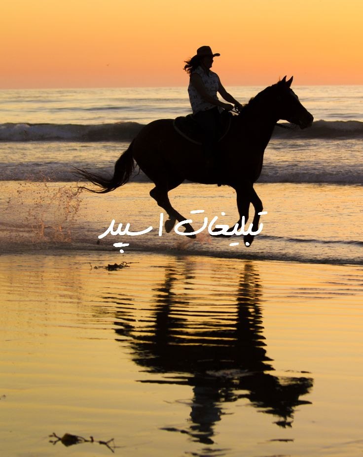 گروه تلگرام کافه ی دنج