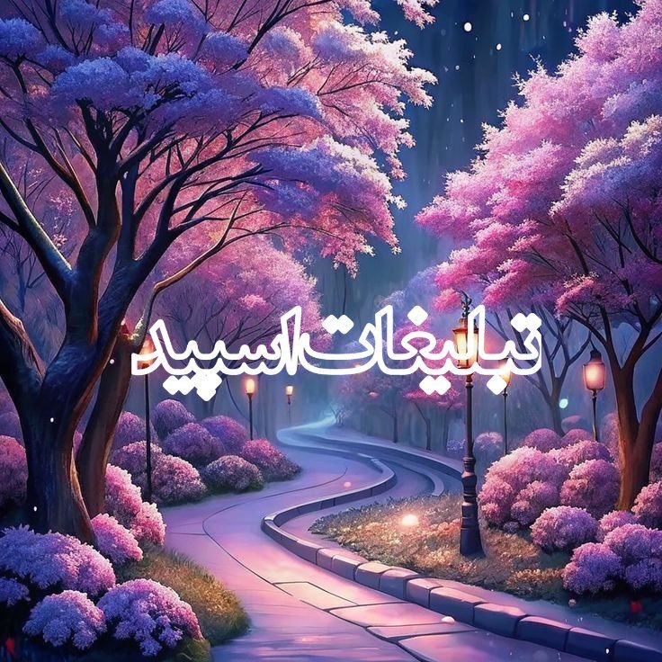 ┌►‌⸼♥️⃟⊂𝐀𝐋𝐌𝐀𝐒 𝐒𝐄𝐀𝐀𝐇⊃⸼ ᷝⷮ🦋⏨◁↰ˣˣ (6)