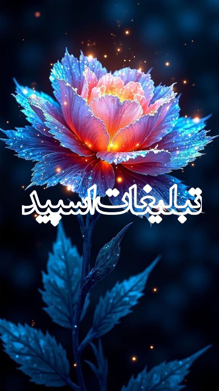 ❤️قلبهای مهربون❤️