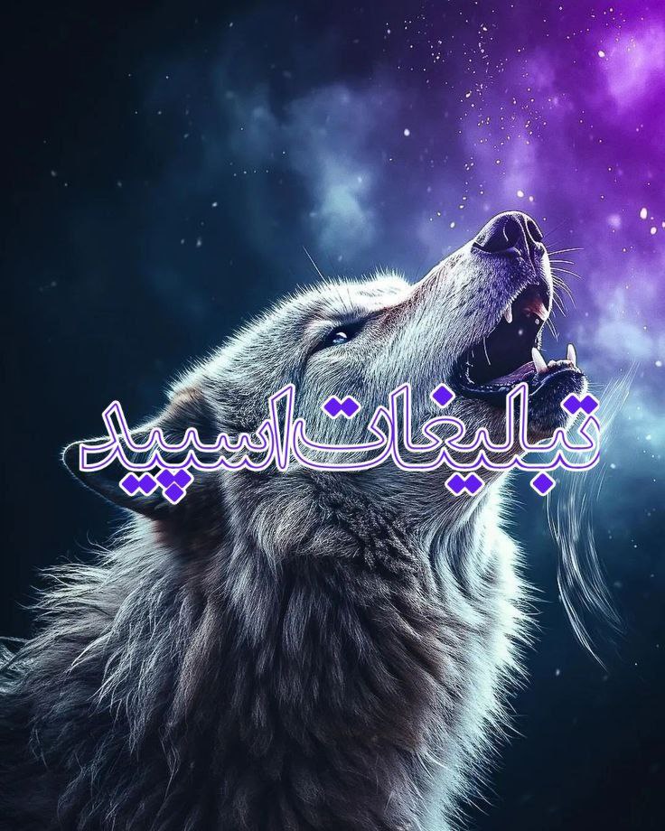 وایلد ولف (293)