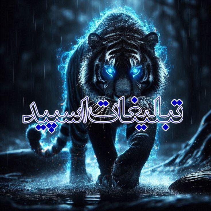 پاتوق دورهمی (6)