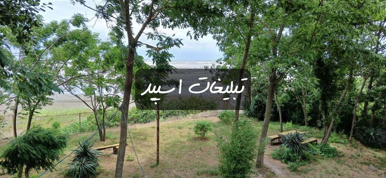 کروه تلگرام مانکی لند