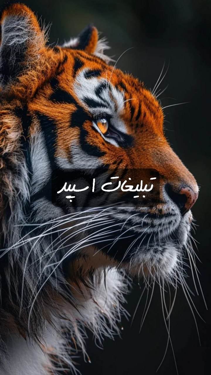 گروه تلگرام میتینگ دهه هفتادیای قشم