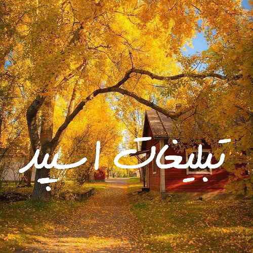 گروه چت تلگرام نبض عشق