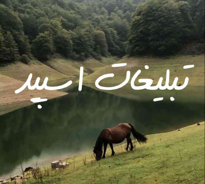 گروه چت تلگرام آلاچیق دوستانه