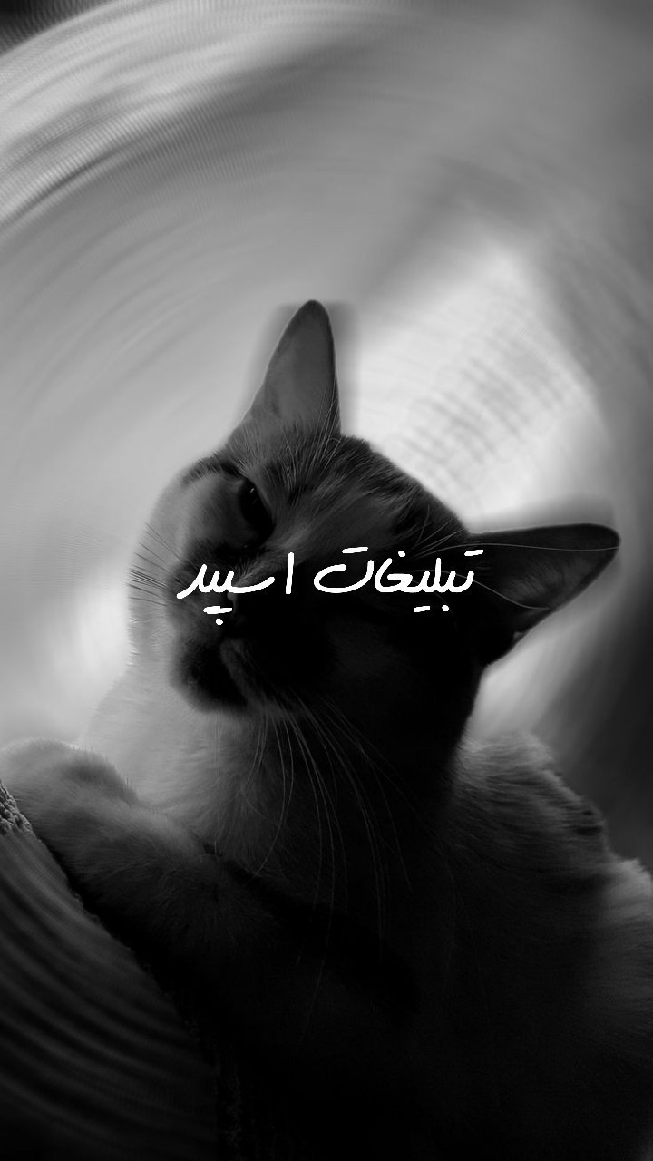 گروه تلگرام دورهمی دوستان با مرام