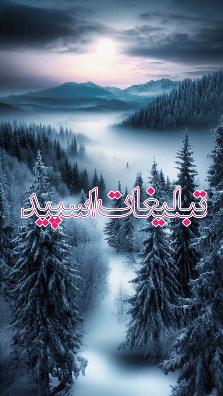 چتکده شهر (1)