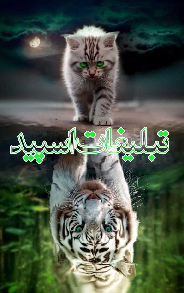 وایلد ولف (76)