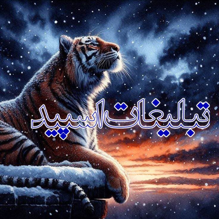 کلبه ارامش (11)