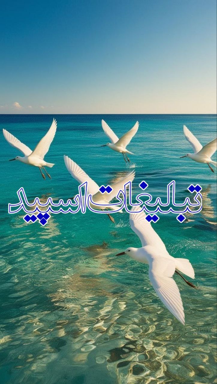 ⎯꯭᪵̽𝆺꯭𝅥𝐖𝐈𝐋𝐃𓆩᪵🜲꯭𓆪̥𝐖𝐎𝐋𝐅⎯꯭꥓᪵ͯ⟶ (161)