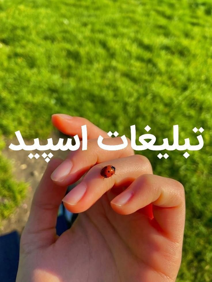 گروه چت تلگرام کلبه دوستی