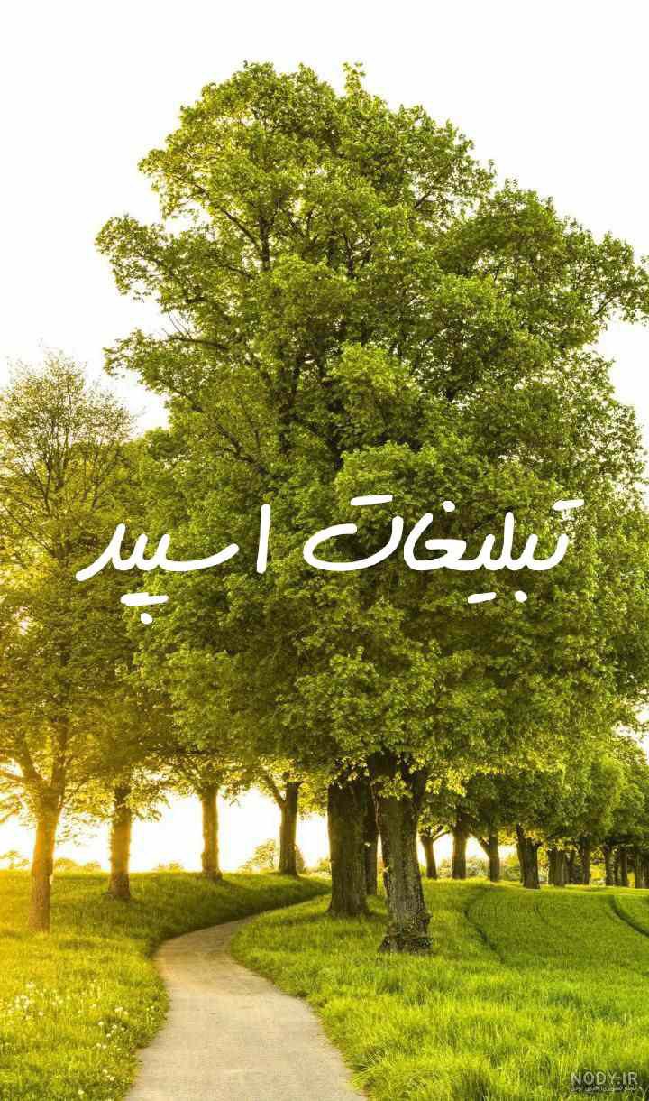 کانال یوتیوب طراحی دیجیتال سینیکس