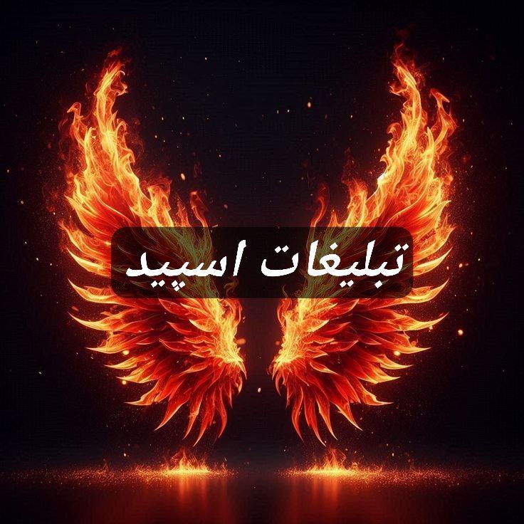 گروه تلگرام وایلدولف