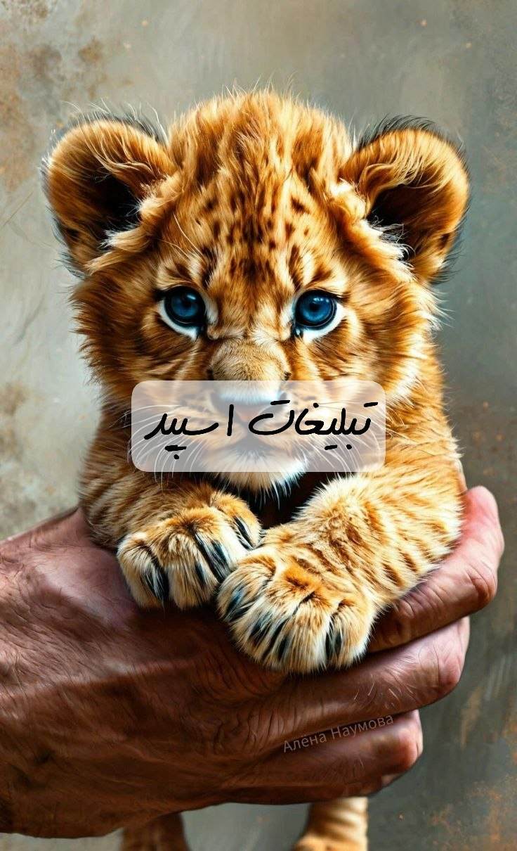 گروه تلگرام کلبه دورهمی اصفهان