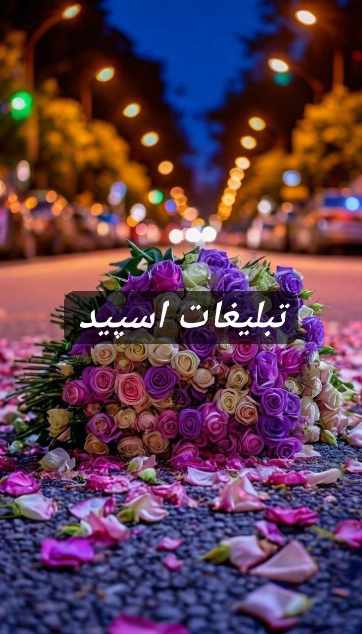 گپ تلگرام شبهای زیبای جنوبیا 