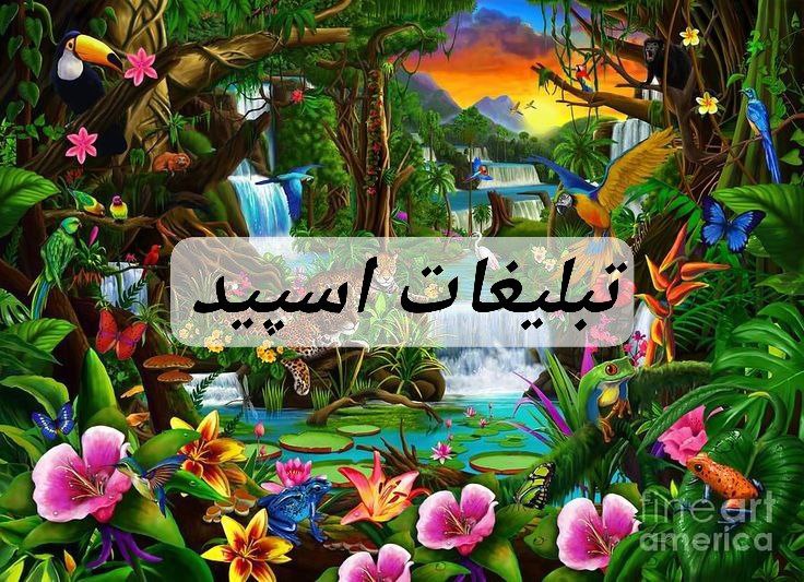 گپ تلگرام 💠༄⁷⁷⁷x᭄ᏟᏆͲᎽ💠