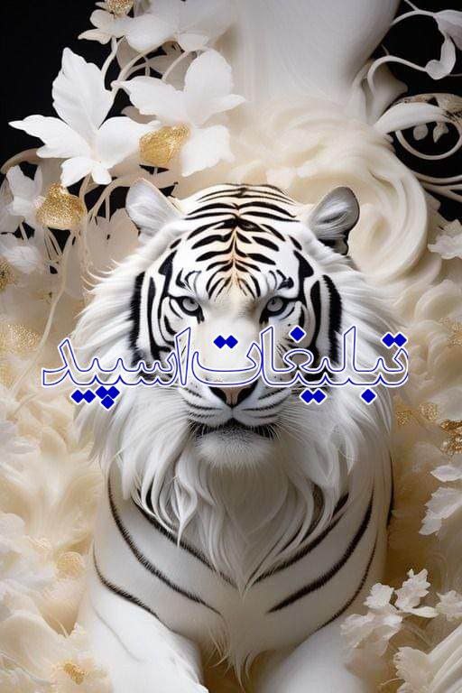 『✧بـ‍یـ‍وگـ‍رافـ‍یـ ، پـ‍روفـ‍ایـ‍لـ خـ‍اصـ✧』