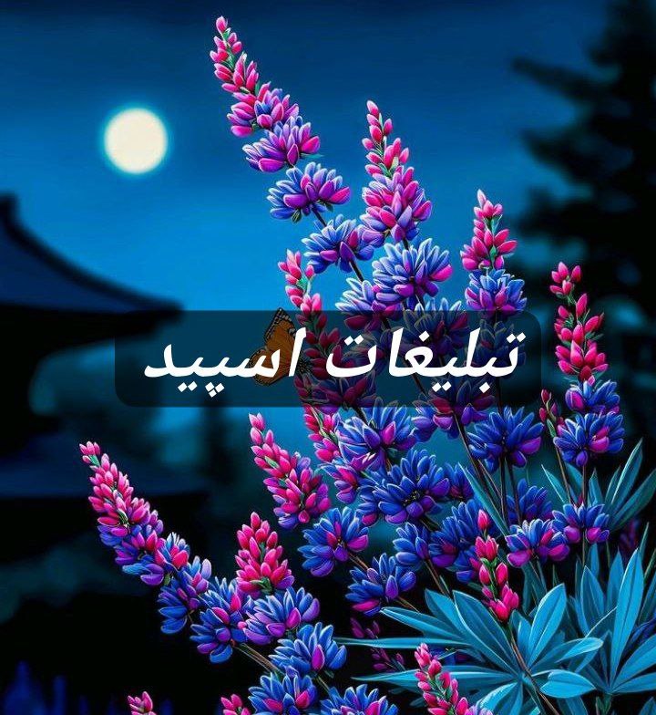 گپ تلگرام مورفین 