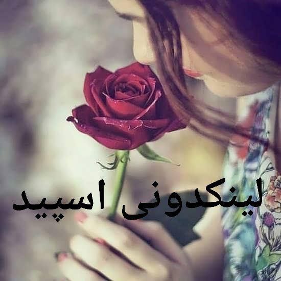 گروه چت تلگرام سلطان دلها
