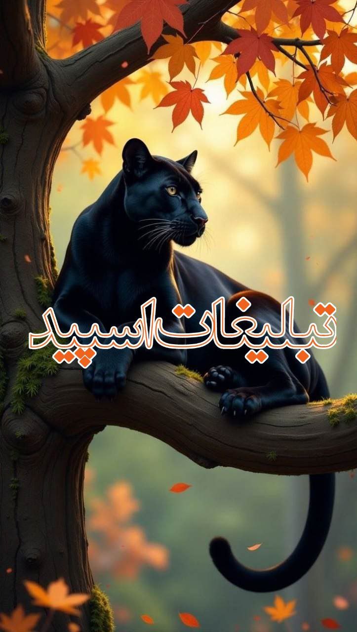 🕊♛ 𝕯𝑬𝐋 𝐂ⅈ𝑻Ꭹ ☬ (13)