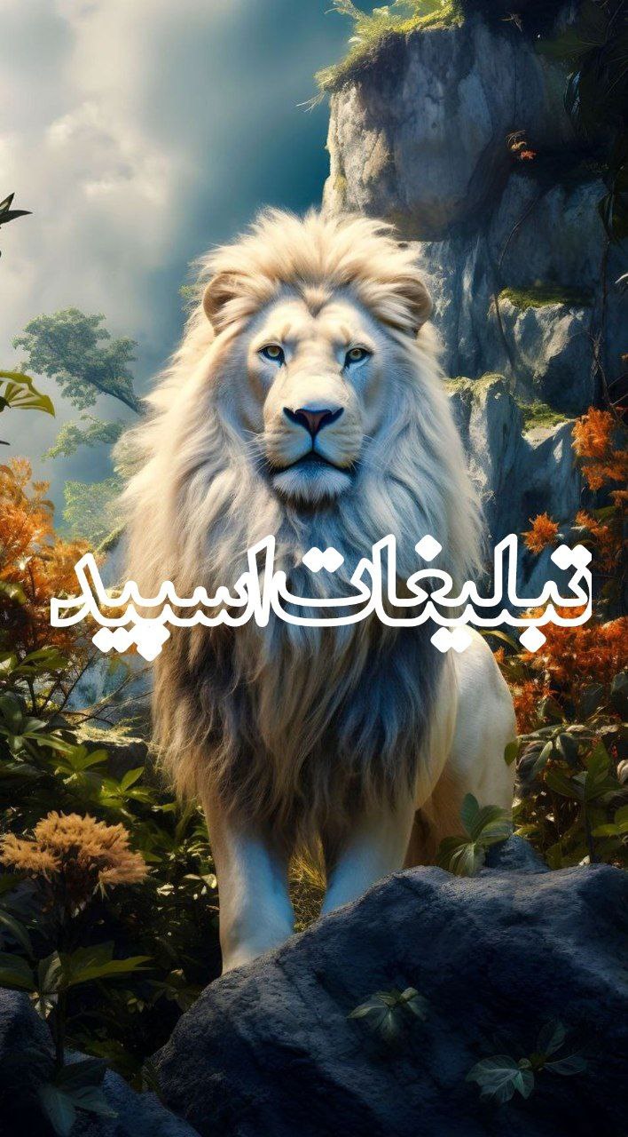 طرح ویژه حمایت از مالکین آنلاین