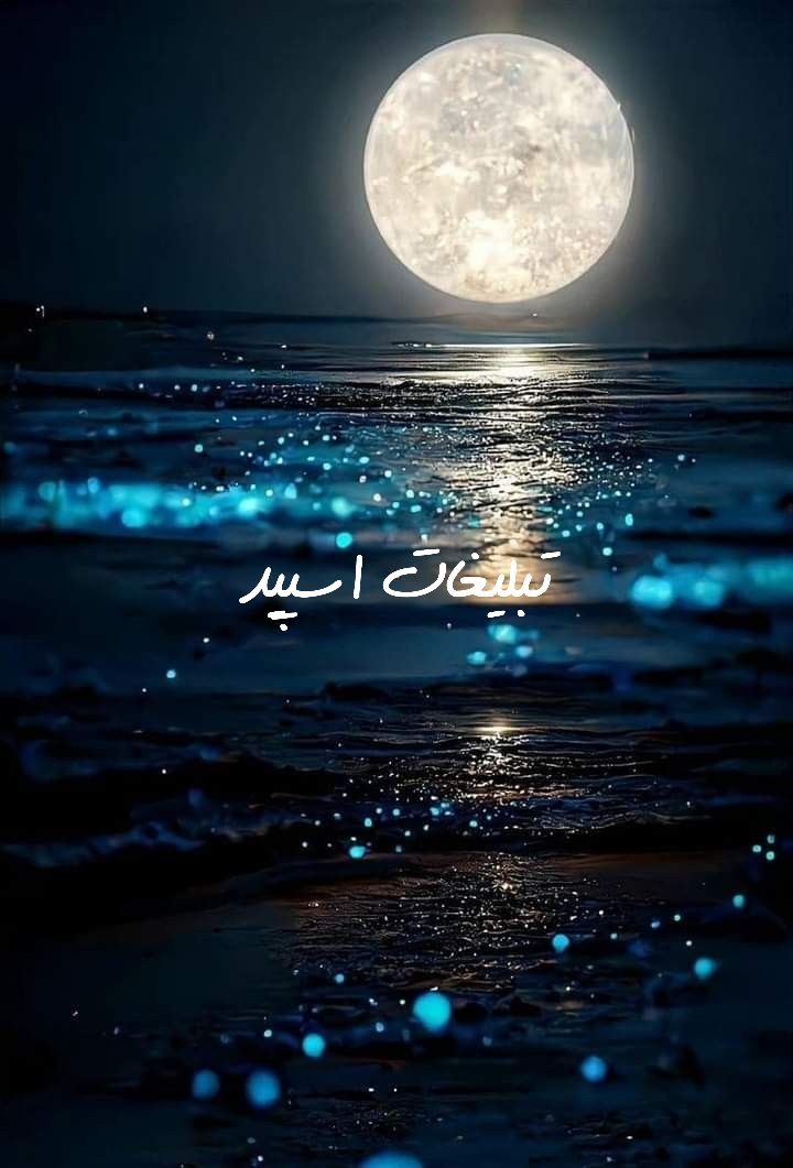 گروه چت وایلد ولف