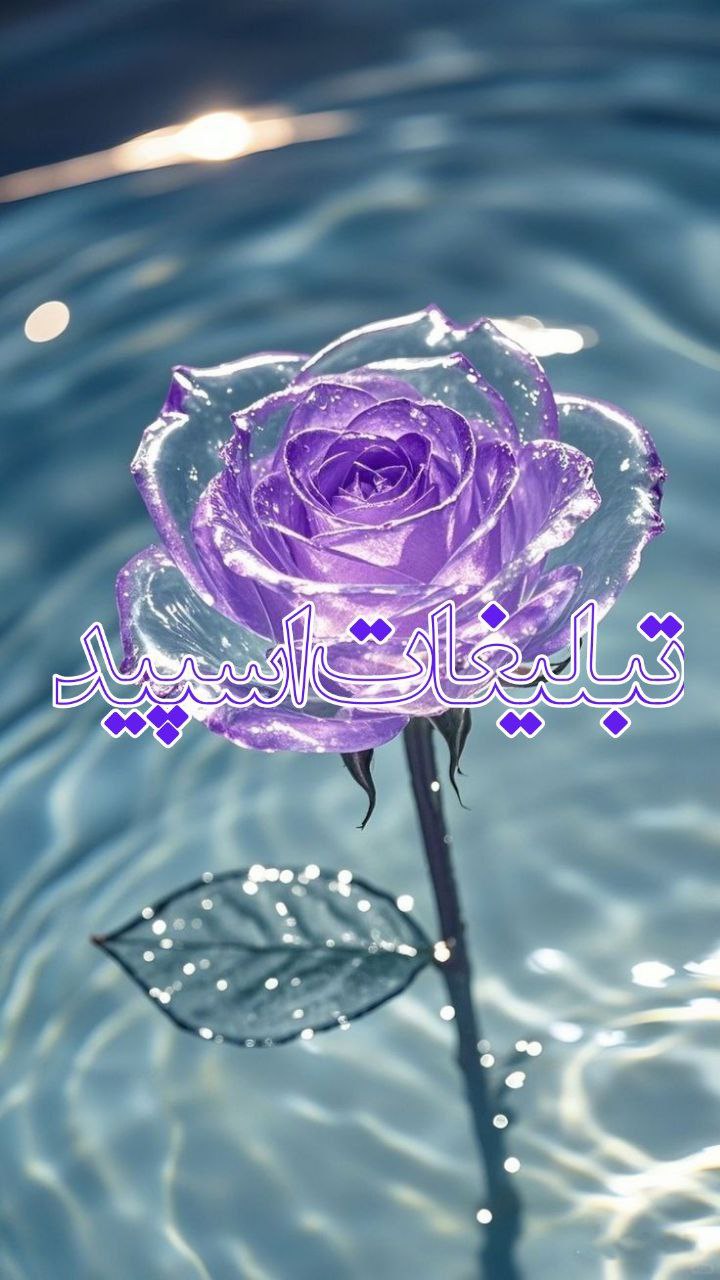 فصل رفاقت (3)