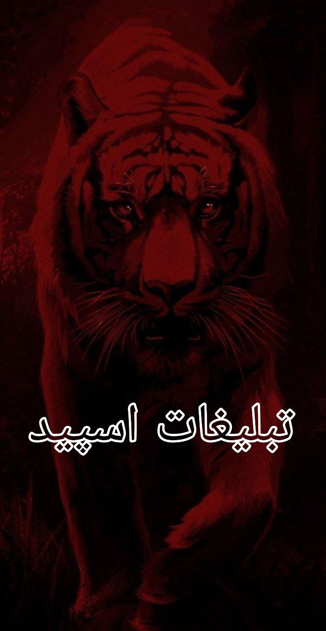 😎✌️دوستان خاص✌️😎 (2)