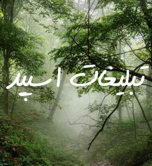 گروه چت تلگرام لاکچریای پارسی