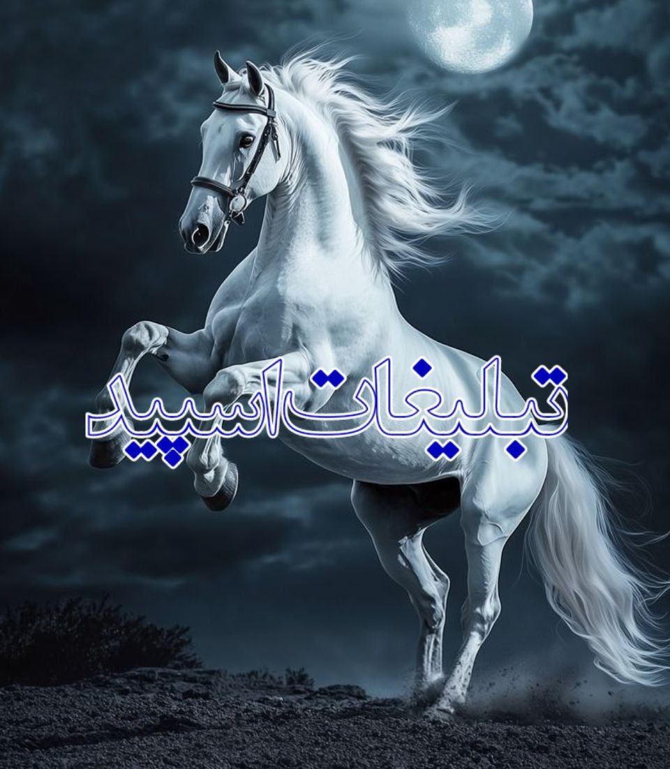 کـلـبـهـ ایـ مـجـازیـ بـا دوسـتـانـ واقـعـیـ (3)