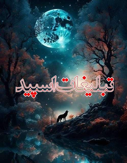 کلبه ای دنج (1)