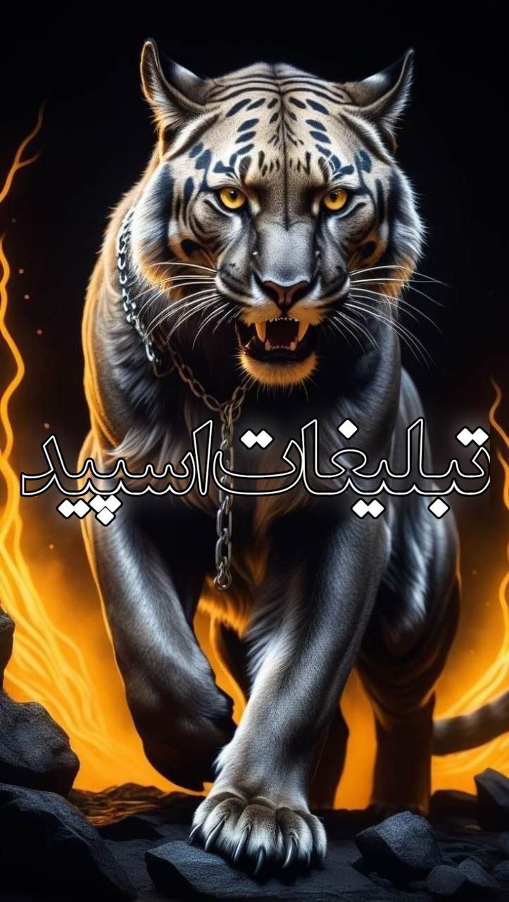 دوستان لاکچری 💖