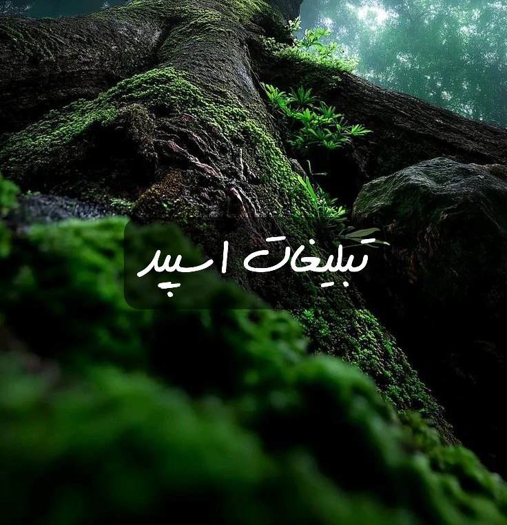 گروه تلگرام دنیای ویران