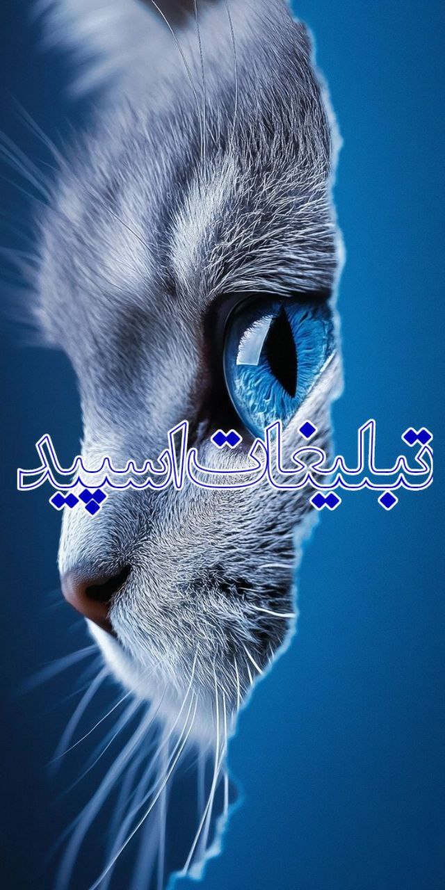 👸𝐊𝐎𝐃𝐈𝐌𝐎𝐍𝐈🤴