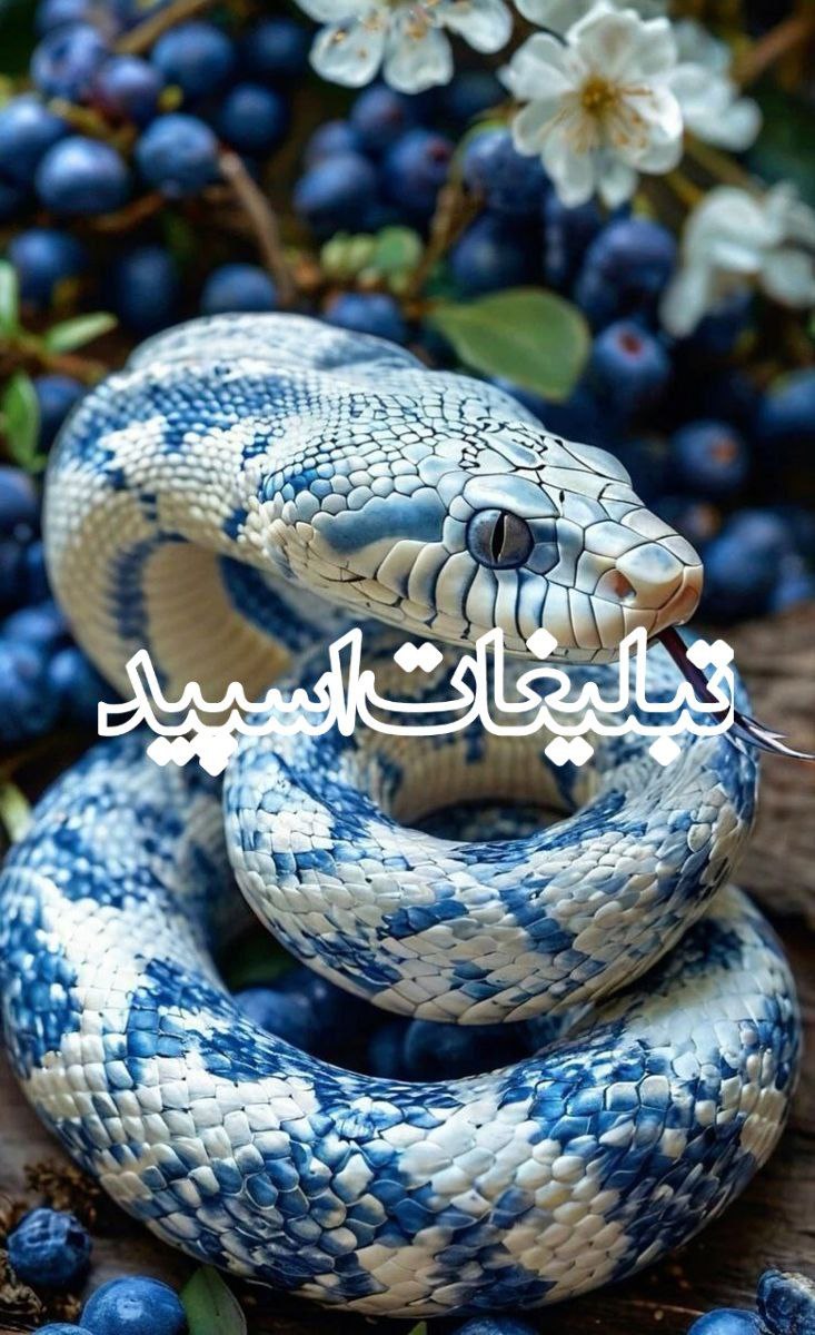 🕊♛ 𝕯𝑬𝐋 𝐂ⅈ𝑻Ꭹ ☬ (6)