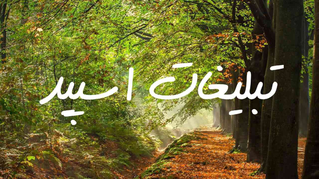 کانال روبیکا  لوازم التحریر