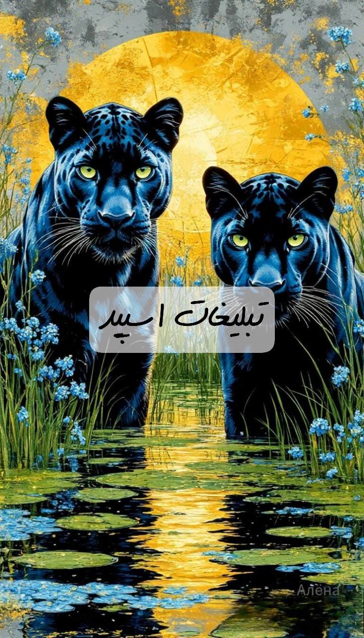 گروه تلگرام بهترین دوستای مشهد