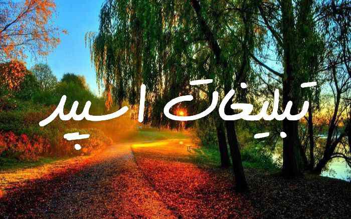گروه چت تلگرام جذاب های شیطون