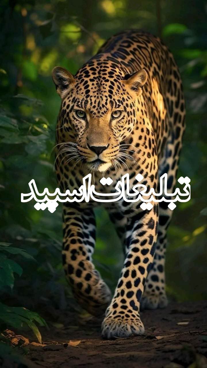 ولف لند (20)