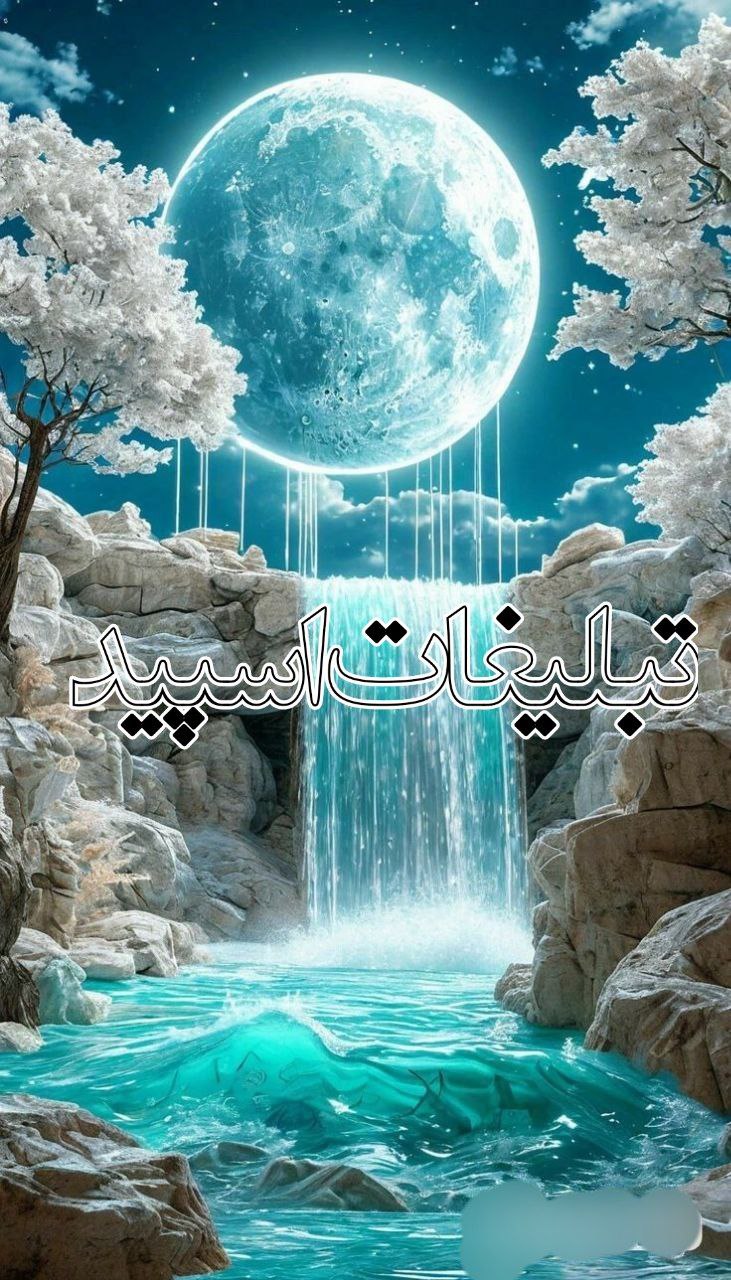 وایلد ولف (247)