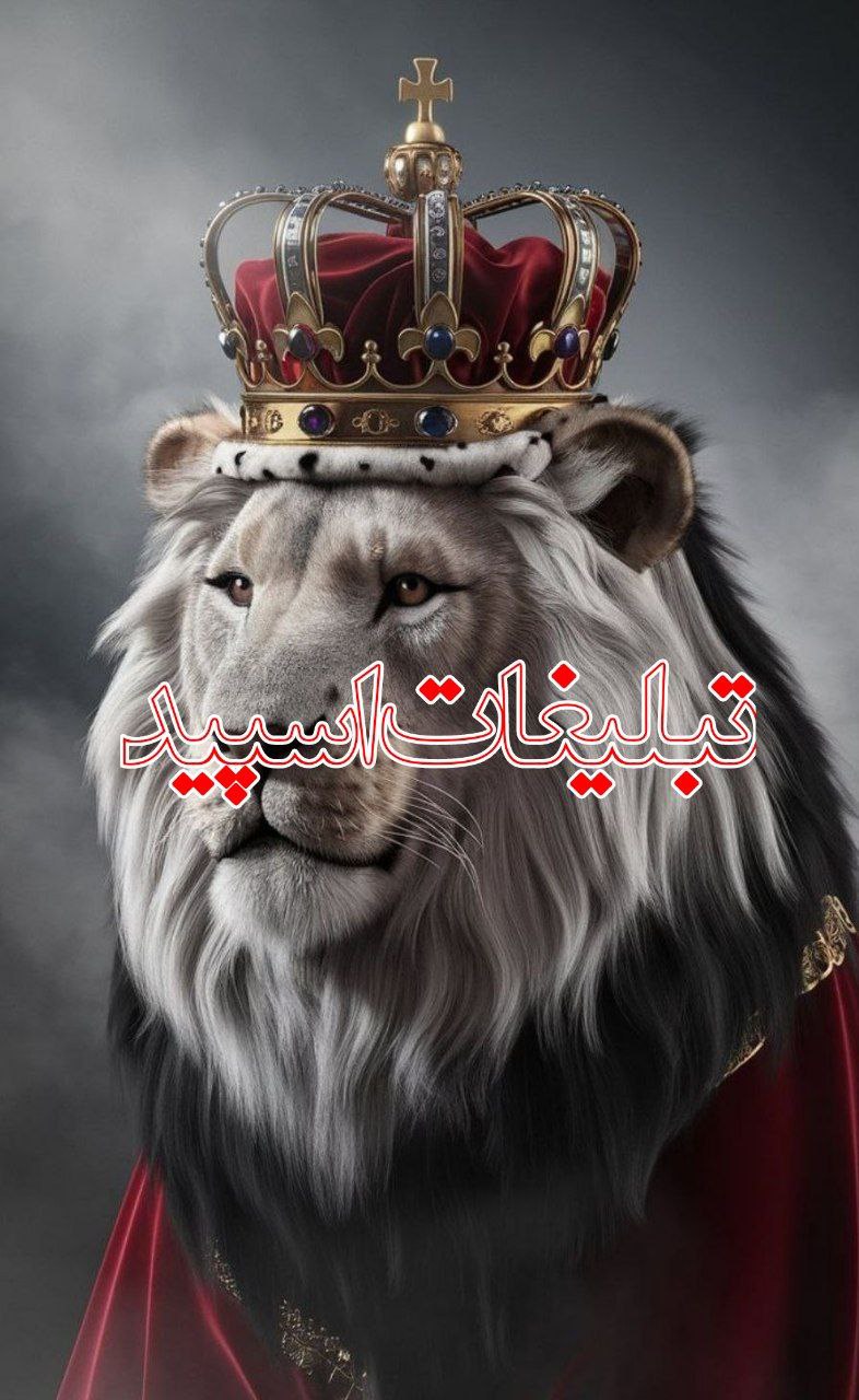 ولف سیتی (9)